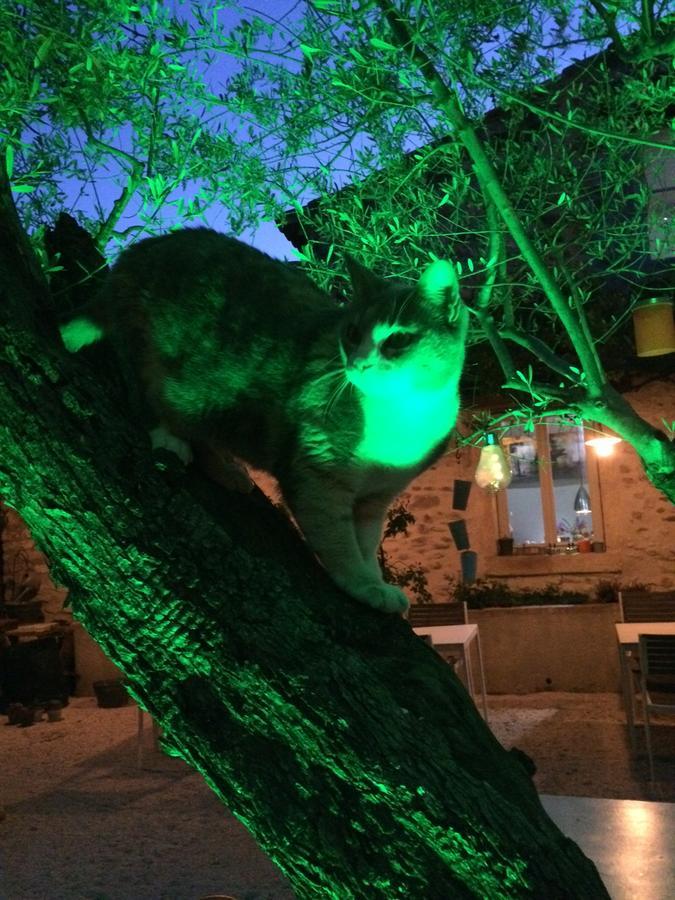 Apres La Sieste Saint-Laurent-des-Arbres Εξωτερικό φωτογραφία