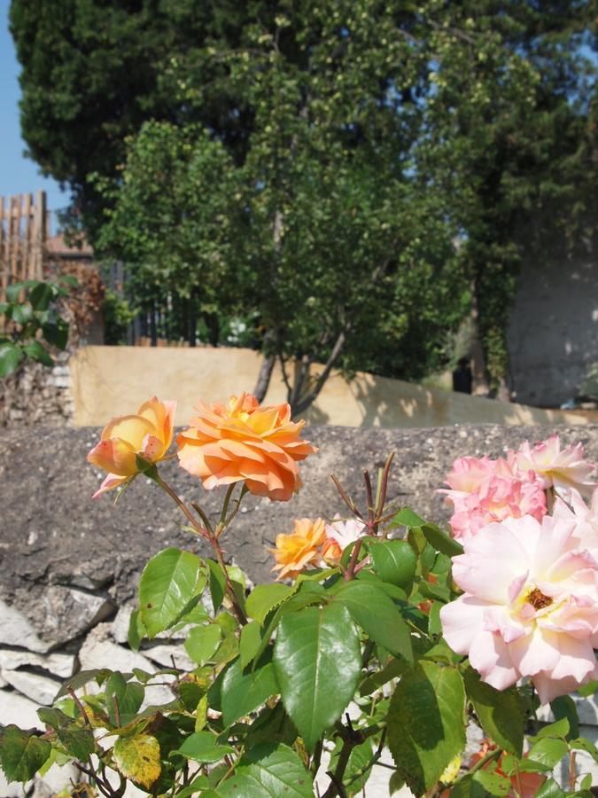 Apres La Sieste Saint-Laurent-des-Arbres Εξωτερικό φωτογραφία